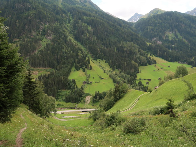 Rudigierweg zwischen Riepasee und Ulmich (21. Juli)