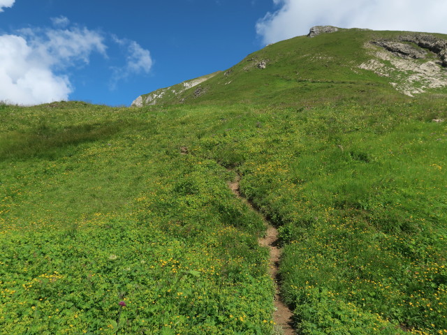 zwischen Ravensburger Hütte und Spullerschafberg