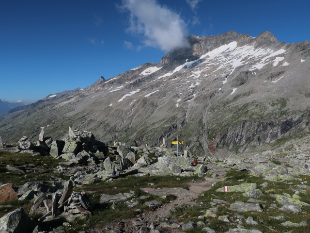 zwischen Friesenberghaus und Hohem Riffler (10. Aug.)