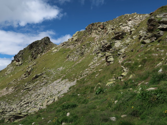 zwischen Maißboden und Bielerspitze (15. Aug.)