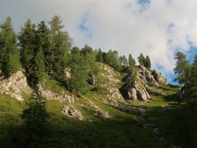 Bödenalm (21. Aug.)