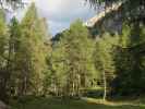 zwischen Tauernhof und Bödenalm (21. Aug.)