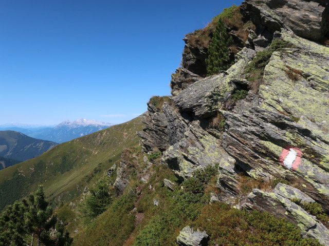 zwischen K&uuml;hofenspitz und Pl&ouml;schmitzzinken (5. Sept.)