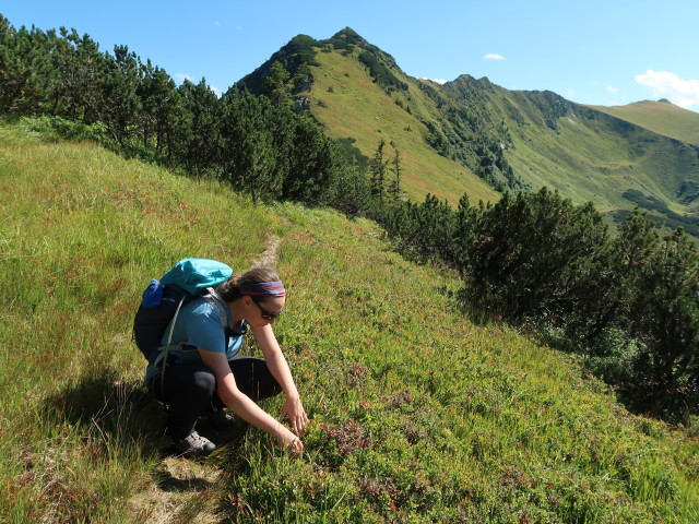 Sabine zwischen Hangofen und L&auml;mmert&ouml;rlkopf (5. Sept.)
