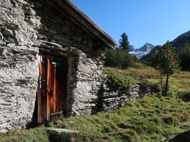 neben Weg 523 zwischen Alpenrose-Hütte und Berliner Hütte