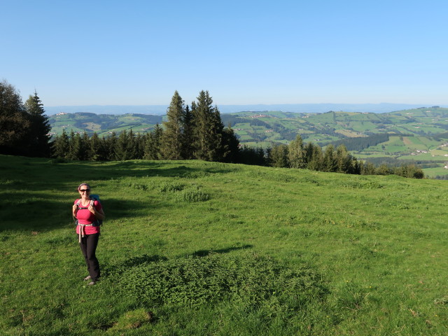 Sabine zwischen Glatzberg und Obergrasberg