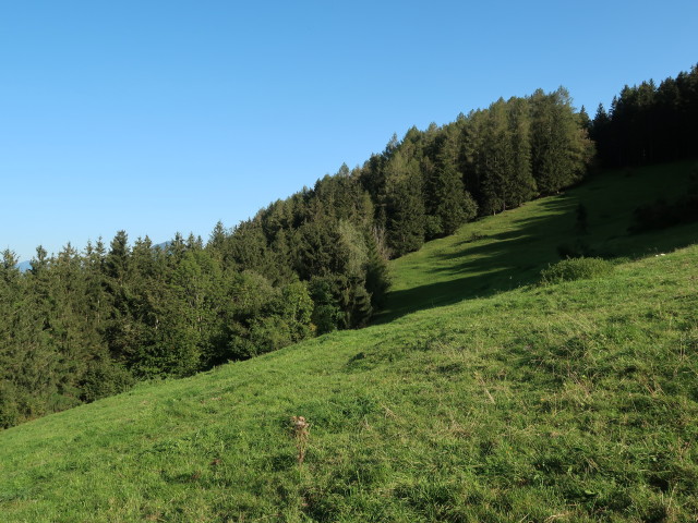 zwischen Glatzberg und Obergrasberg