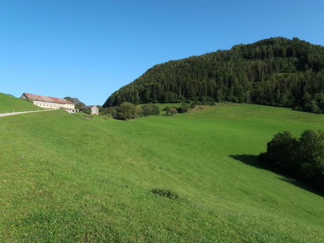 Obergrasberg