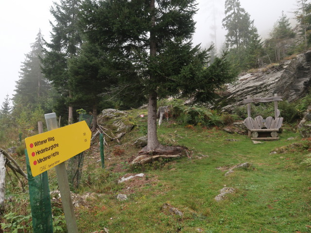 Wittener Weg zwischen Tauerntal und Hindenburgh&ouml;he (19. Sept.)