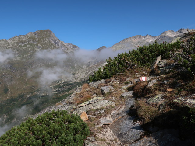Wittener Weg zwischen Tauerntal und Hindenburgh&ouml;he (19. Sept.)