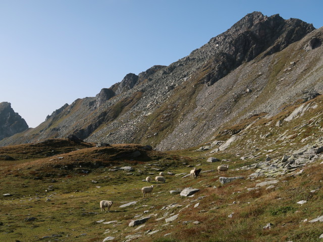 zwischen Rameter Spitz und Göttinger Weg (19. Sept.)