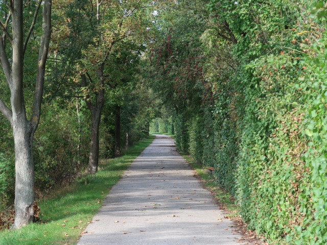 zwischen Münchendorf und Himberg