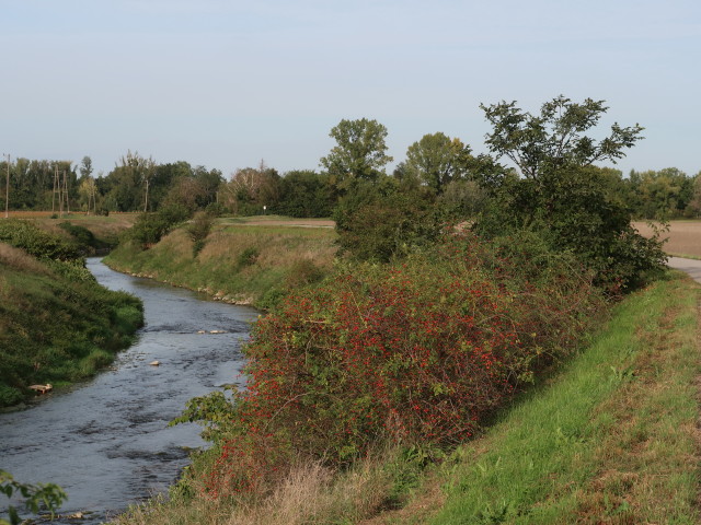 Mitterbach zwischen Himberg und Zw&ouml;lfaxing