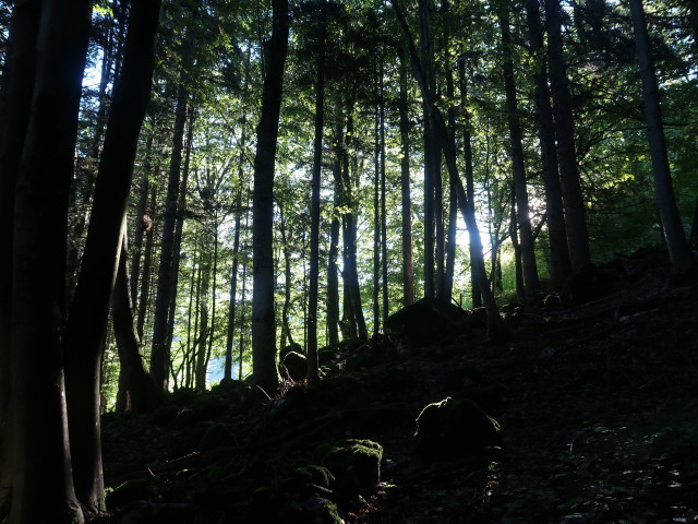 zwischen Z&ouml;gersbach und Ratzeneck