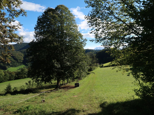 zwischen Eibenberg und D&ouml;rfl auf der Eben