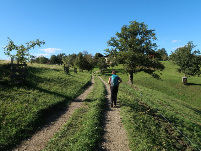 Sabine zwischen Eibenberg und D&ouml;rfl auf der Eben