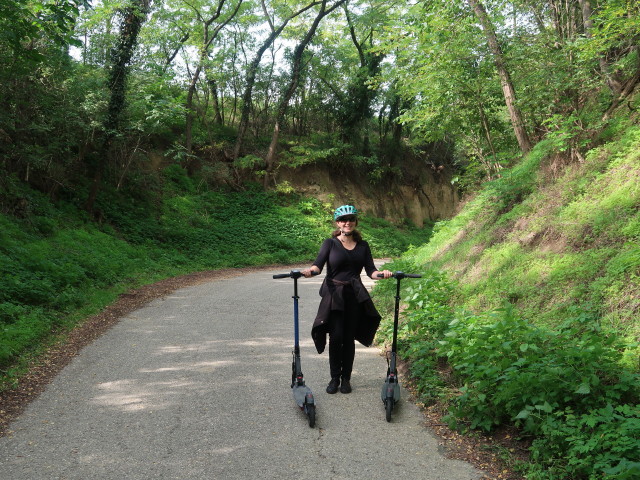 Sabine im Taglergraben zwischen Langenlois und Schilterner Berg