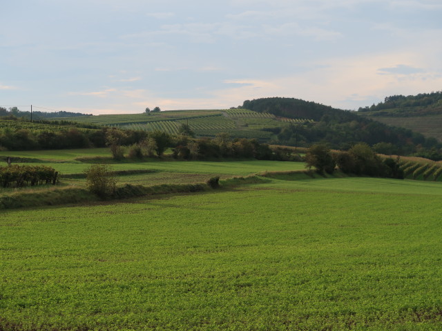 zwischen See und Schönberg am Kamp