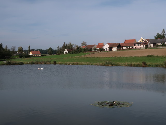 Fischteich