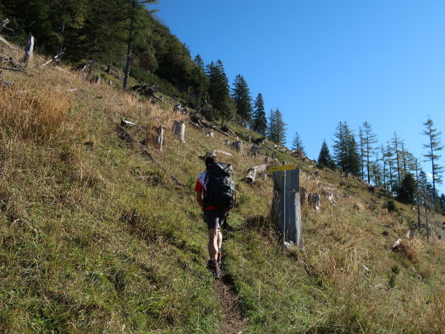 Ronald zwischen Sulzaustube und Rinnkogel