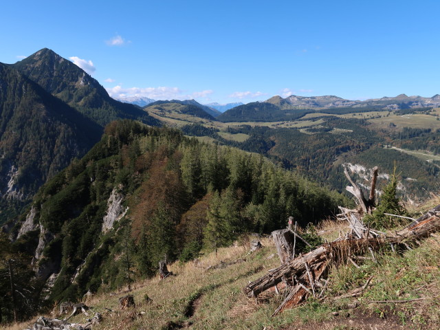 zwischen Sulzaustube und Rinnkogel