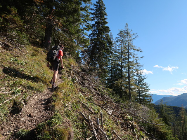 Ronald zwischen Sulzaustube und Rinnkogel