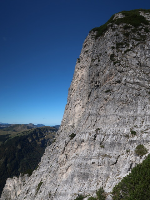 zwischen Sulzaustube und Rinnkogel