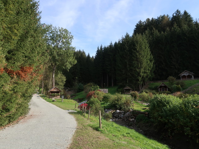 zwischen Mur und Sattelbauer (9. Okt.)