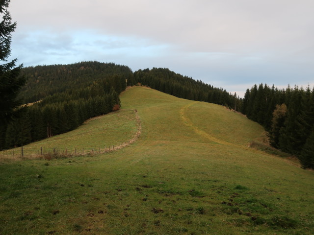 zwischen Steinplan und Krennsattel (10. Okt.)