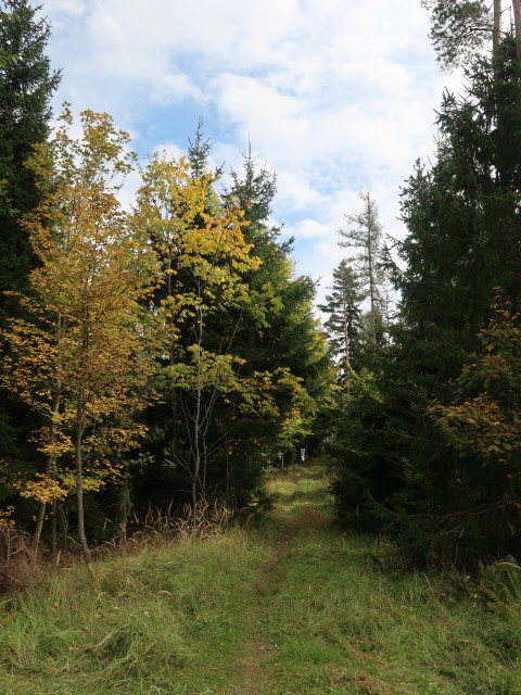 zwischen Hirtlkogel und Eckjandl (10. Okt.)