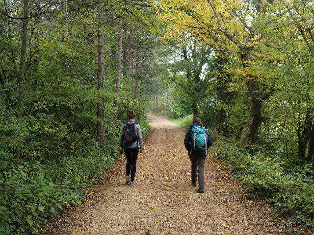 Kathrin und Sabine zwischen Döppling und Schönbühel