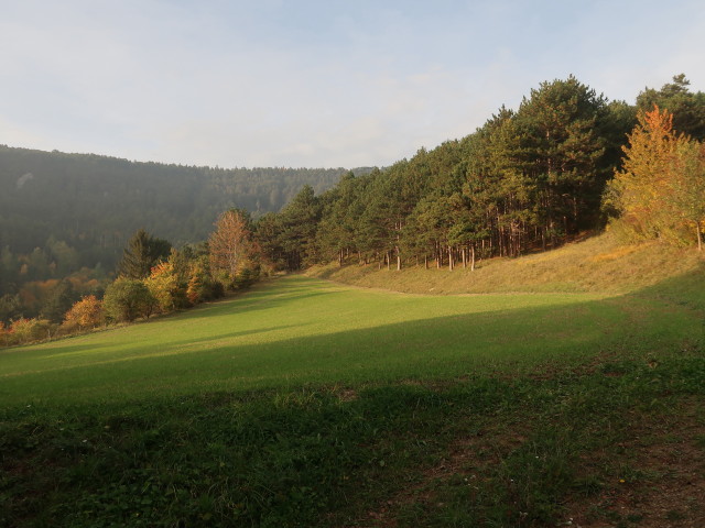 zwischen Hintenburg und St. Johann am Steinfelde