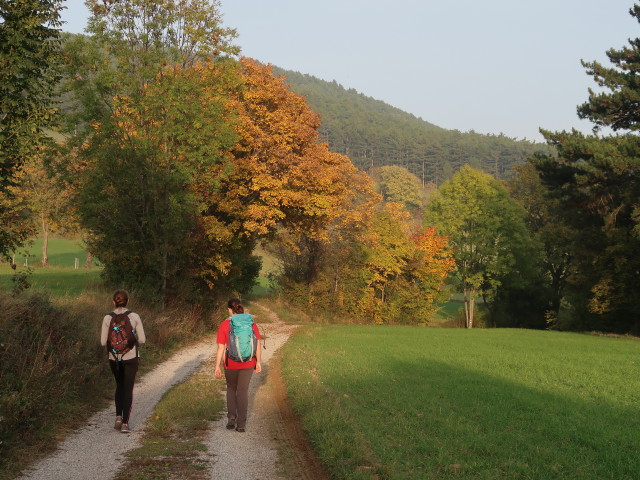Kathrin und Sabine zwischen Hintenburg und St. Johann am Steinfelde