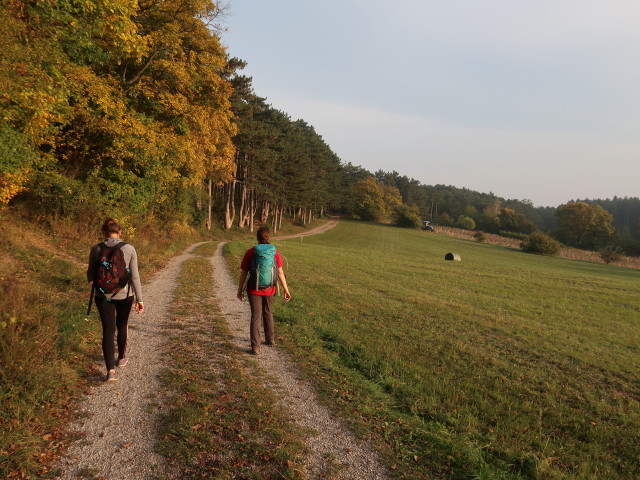 Kathrin und Sabine zwischen Hintenburg und St. Johann am Steinfelde