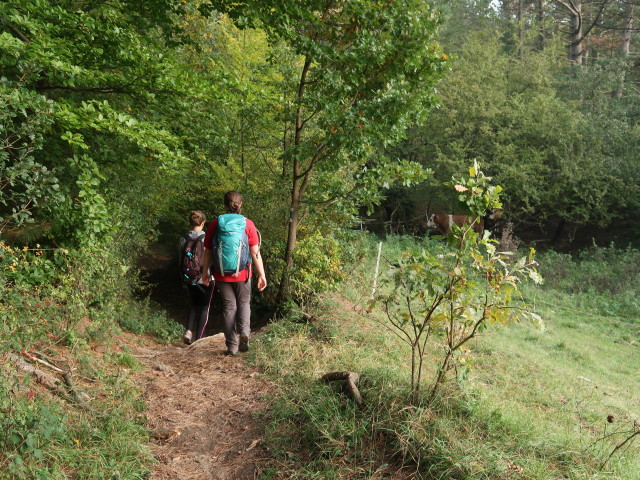 Kathrin und Sabine zwischen Hintenburg und St. Johann am Steinfelde