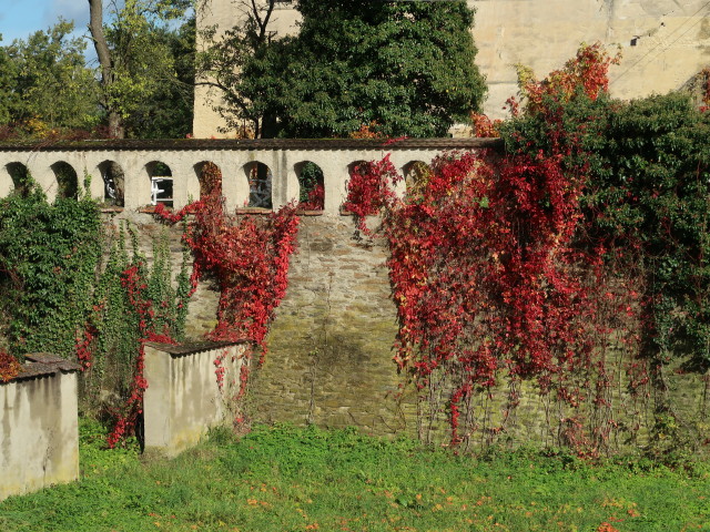 Renaissanceschloss Greillenstein