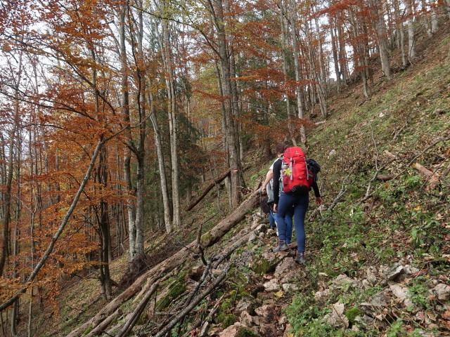 Anna zwischen Hochgraser und Eisenstein