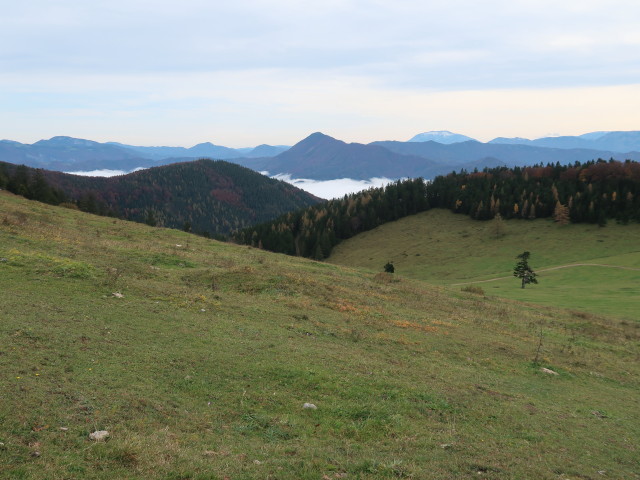 zwischen Eisenstein und Loicheck