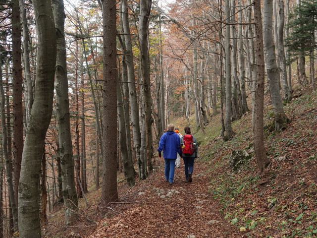 Maximilian, Erich und Anna zwischen Eisenstein und Loicheck