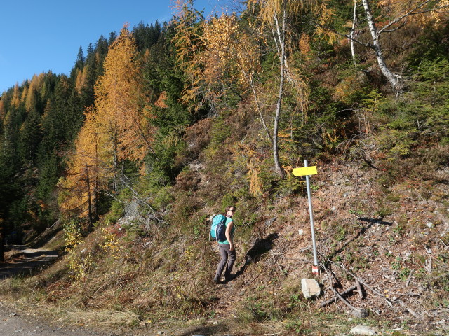 Sabine im Zirnitzwald