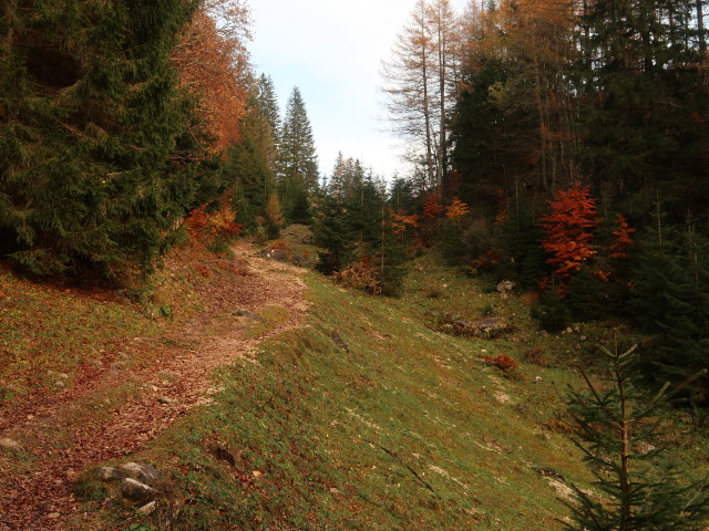 zwischen Rohrauerhaus und Bosruckhütte