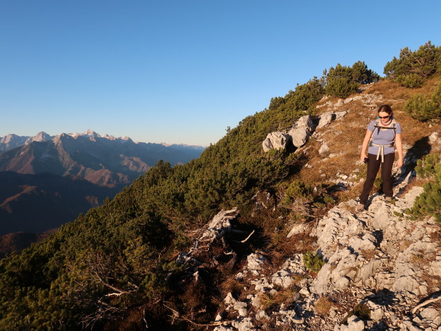 Sabine zwischen Gamskogel und Rohrauer Gr&ouml;&szlig;tenberg (8. Nov.)