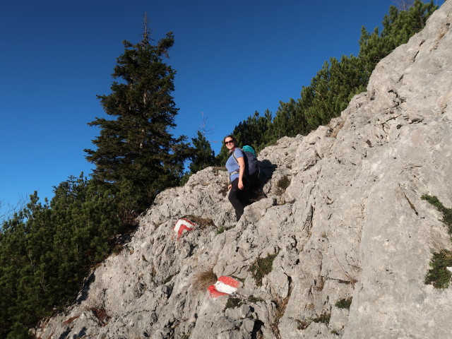 Sabine zwischen Gamskogel und Rohrauer Gr&ouml;&szlig;tenberg (8. Nov.)