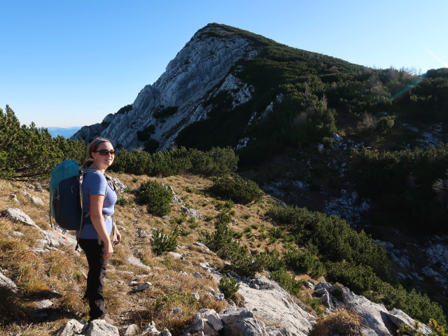 Sabine zwischen Gamskogel und Rohrauer Gr&ouml;&szlig;tenberg (8. Nov.)