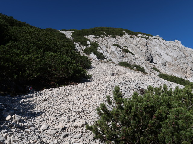 zwischen Rohrauer Gr&ouml;&szlig;tenberg und Rottalsattel (8. Nov.)