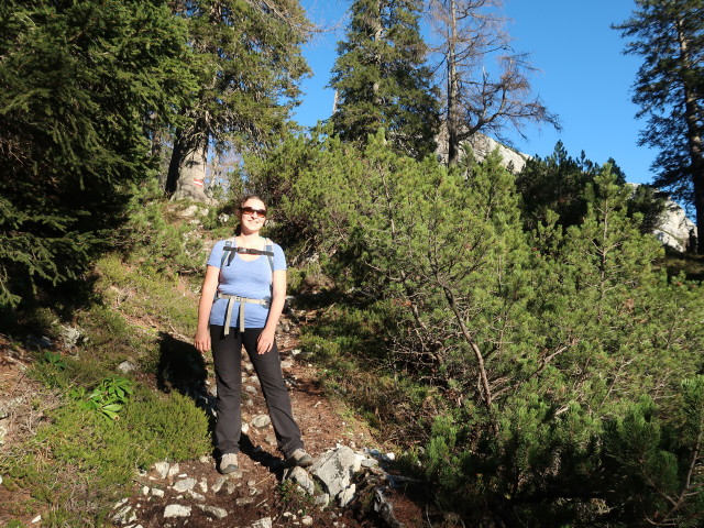 Sabine am Budergrabensteig zwischen Merkensteinbr&uuml;ndl und Jagdhaus Rettenbach (8. Nov.)