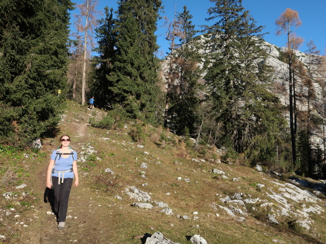 Sabine am Budergrabensteig zwischen Merkensteinbr&uuml;ndl und Jagdhaus Rettenbach (8. Nov.)