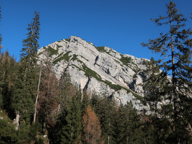 Gamsplan vom Budergrabensteig aus (8. Nov.)