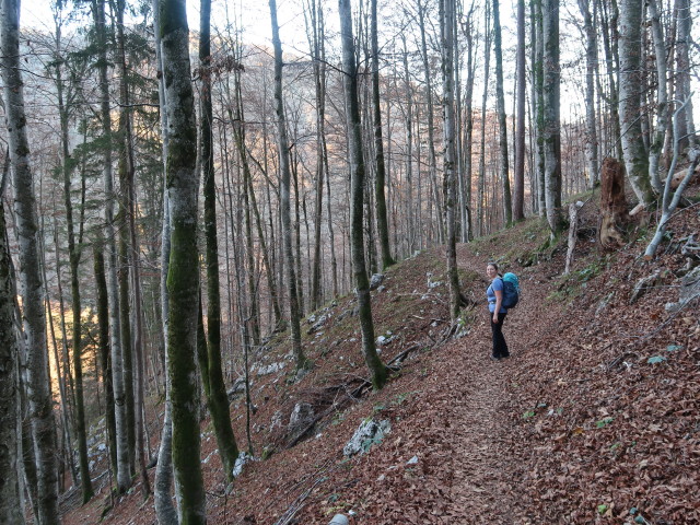 Sabine am Budergrabensteig zwischen Merkensteinbr&uuml;ndl und Jagdhaus Rettenbach (8. Nov.)