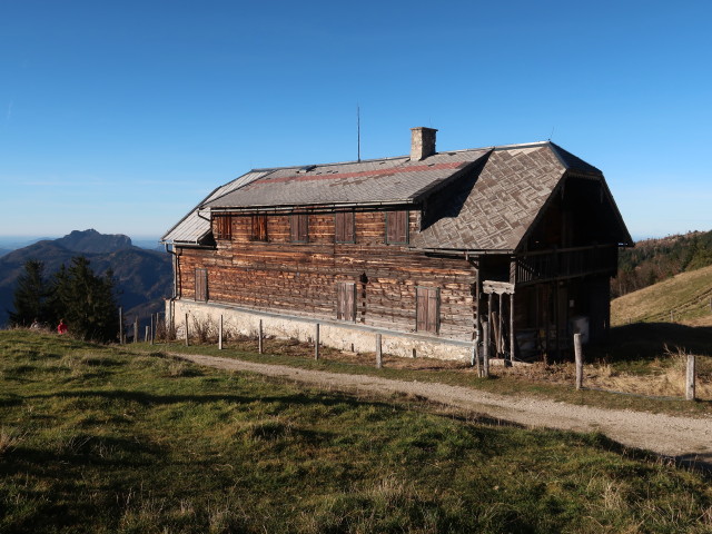 Schafbergalm, 1.364 m